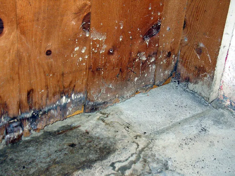 A water-stained wall and ceiling in a home