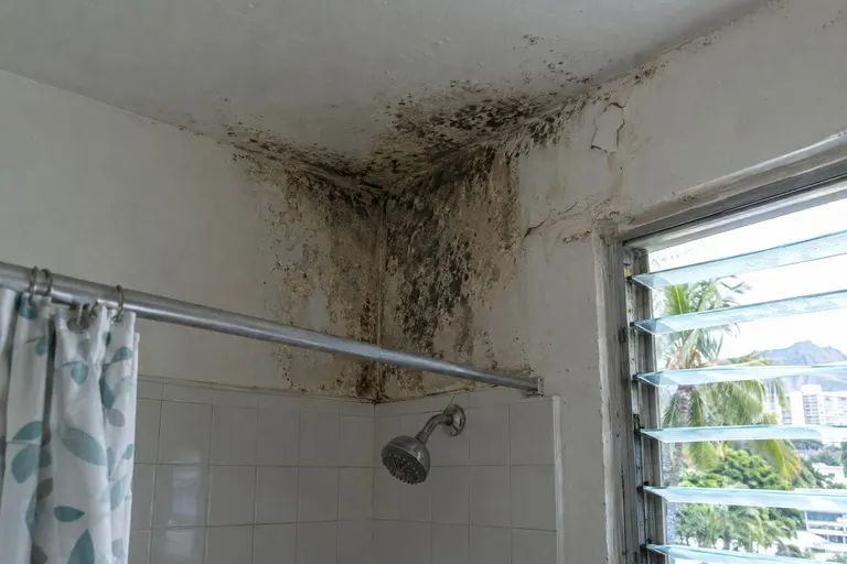 Dark mold spreading across the ceiling corner above a shower in a bathroom.