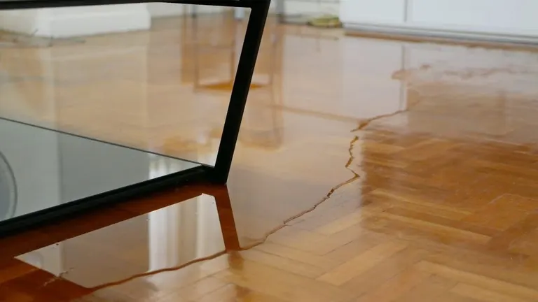 Standing water spreading across a parquet hardwood floor in a living room.