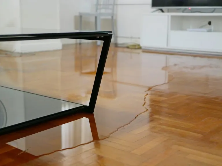 Standing water across a parquet floor